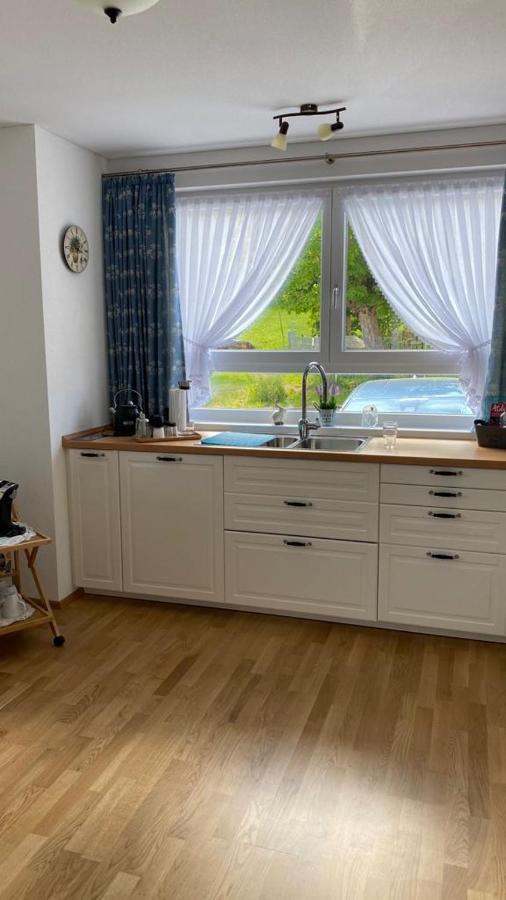 Steppacher Ferienappartements Friedenweiler エクステリア 写真